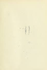 Image result for Pittosporum fulvotomentosum