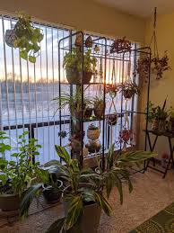 Reddit Indoorgarden Wardrobes Make The Perfect Home For Plants Without Blocking The View House Plants Indoor Inside Plants Decor House Plants Decor