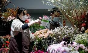 Maybe you would like to learn more about one of these? Florists Hit Hard Amid Novel Coronavirus Outbreak Global Times