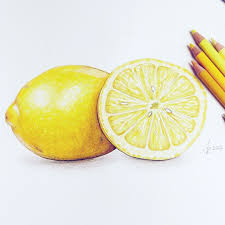 Awh Es Ist So Cool X1f33f X1f4e3 X2728 Lemon Drawing Fruits Drawing Fruit Sketch