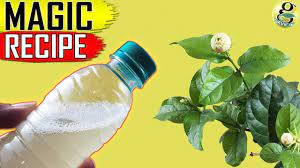 Chemical controls are the last option when fighting pests. Ultimate Organic Pest Control Formula Best Natural Pesticide Recipe Youtube Natural Pesticides Organic Pesticide Organic Pest Control