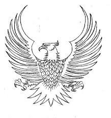 Gambar burung garuda pancasila lambang negara indonesia gambar burung garuda. Sketsa Burung Elang Shefalitayal