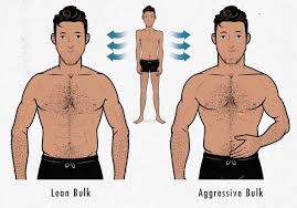 As you know, clean bulking revolves around keeping your caloric intake slightly above what you're burning. How Fast Should We Gain Weight While Bulking Bony To Beastly