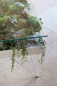 What A Creative Table Plants Indoor Garden Hanging Plants