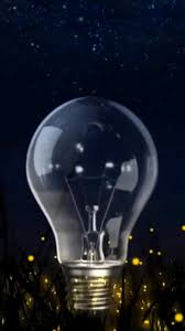 Dellameira (@dellameira)