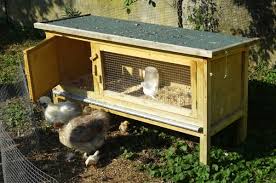 Eine der wichtigsten fragen beim bau eines hühnerstalls in eigenregie ist die größe, da sie im allgemeinen von der rasse und der anzahl der. Huhnerstall Mit Auslauf Tipps Kaufberatung Libellius