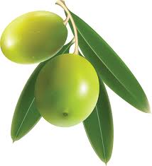Olives Png Image Olive Logo Design Tutorial Fruit