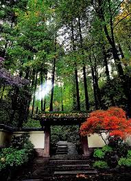 Portland Japanese Garden Portland Japanese Gan 611 Sw Kingston Avenue Portland Or 97205 Get Directions Search Portland Japanese Gan Behind The Shoji Hokkaido