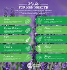 We did not find results for: Healthy Herbs For Happy Hens