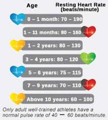 heart rate and age chart visualvocabulary in medical