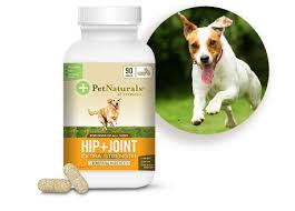 Cbd oil pet tinctures, cbd treats, crunchy bites and biscuits, capsules and pills. Pet Naturals Of Vermont Calming Dog Chews Free Shipping Chewy
