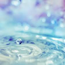 Beautiful Water Drops Macro Photography Macro Photography Water Dew Drop Photography Macro Photography