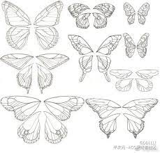 pin by ぎん 理真 on 素材 翅膀 in 2020 butterfly drawing butterfly wings pattern butterfly art