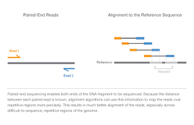 It is only recently, with the advent and proliferation of ngs technology, have we been able to fully take. Paired End Vs Single Read Sequencing Technology