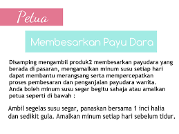 Menegangkan dan menstabilkan kedudukan payudara. Besarkan Payudara Beauty