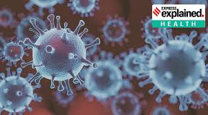 Influenza viruses that infect humans can be classified into three. Explained What Is The Reason For Decreased Influenza Activity During The Pandemic Explained News The Indian Express
