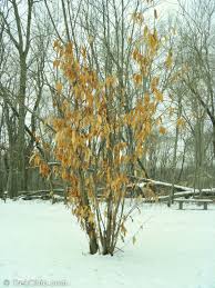 The columbus and franklin county metro parks are a group of 19 metropolitan parks in and around columbus, ohio. Chestnut Ridge Metro Park Trekohio