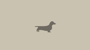 dachshund wallpaper 79 images