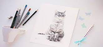 Como Dibujar Un Gato Como Un Profesional Elige entre cientos de dibujos de gatos para colorear y podras pintar e imprimir estos animales tan carinosos. como dibujar un gato como un profesional