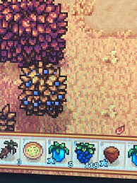 What is the maple syrup in stardew valley? Guess What Maple Syrup Loving Bear I Met On The Day I Found 100 Blackberries Stardewvalley