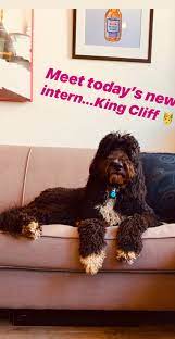 Louis tomlinson beautiful boys beautiful people troy austin king of my heart british boys louis williams 1d and 5sos liam payne. Larry Ziam Eleanor Posted A Picture With Bruce And Clifford