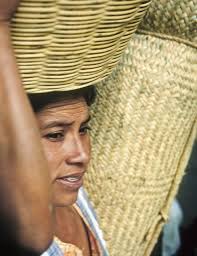 Whole Thinking Journal