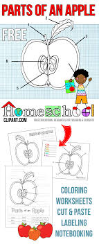 Pin On Ultimate Homeschool Board