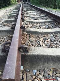 Mediterranean rail freight corridor does not use profiling cookies, but only technical cookies. Rail Corridor Ex Ktm Railway Now Turned Into Green Corridor Singapore Must Visit Jilaxzone