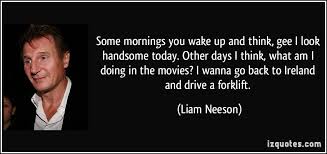 The acclaimed northern irish actor is mostly known for his somber, emotionally powerful roles like oskar schindler in. Liam Neeson Movie Quotes Quotesgram