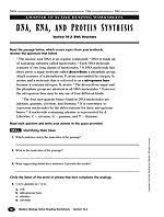 What sugar is found on dna? Dna Rna And Protein Synthesis