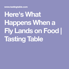 Here S What Happens When A Fly Lands On Food Tasting Table Food Tasting Tasting Table Food