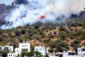 В турции в результате природных пожаров погиб еще один человек. V Turcii V Bodrume Vspyhnul Lesnoj Pozhar Turciya Dlya Druzej