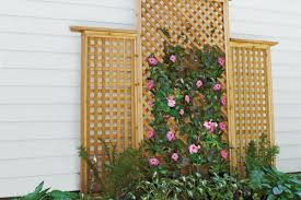 These diy arbor plans show you how to build a trellis that is the entryway to the garden and a part of the garden. How To Build A Wooden Trellis In 13 Steps This Old House
