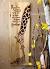 Giraffe Wall Art