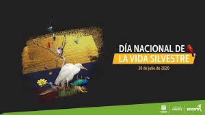 El día de la secretaria en chile se celebra todos los años el 3 de diciembre. Dia Nacional De La Vida Silvestre Secretaria De Ambiente De Bogota Bogota Gov Co