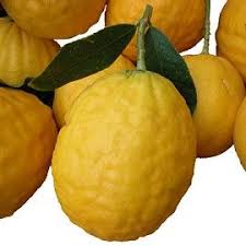 Pin By Syl Brignole On Agrumes Lemon Head Fruits And Veggies Types Of Fruit