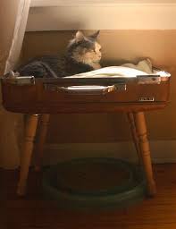 You also have the freedom to customize the bed to suit your pet's personality and your design scheme. Stylish Simple Suitcase Pet Bed Diy Cat Bed Diy Pet Bed Pet Bed