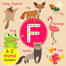Letter F Zoo Alphabet In 2020 Picture Letters Letter F Alphabet