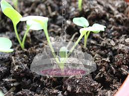 We did not find results for: Ten Tips Of Using Led Grow Light We Should Care About Agc Lighting