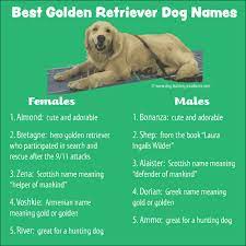 This is what you use to call anyone that went to an agricultural college. 400 Memorable Golden Retriever Names To Celebrate Your New Dog