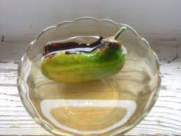 How To Grow A Mango Seed In Water Mango Tree Growing Mango From Seed Avocado Seed Growing