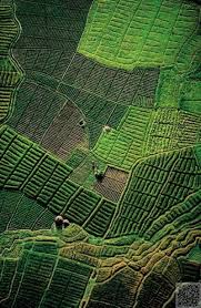 Birds Eye View Photography Ideas The 40 Shades Of Green Ireland Birds Eye Birds Eye View Aerial Photography