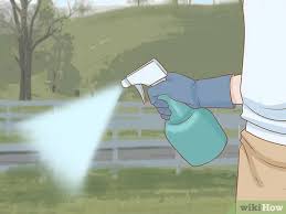 Check spelling or type a new query. 4 Ways To Keep Squirrels Away Wikihow