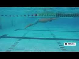 Apr 23, 2021 · is meet mei romania ke rising star david popovici, jo ki abhi teenager hi hai unhone bahot hi accha perform kiya. David Popovici 49 26 100m Free Race Video Youtube