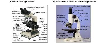 An example at different settings are below: Intro Operating Procedure Of Compound Light Microscope System In 10 Steps Inside Chemistry