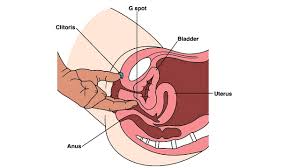 If she feels that pressure, chances now that you've slowly raised the heat with foreplay now it's time to cut the cake. The 5 Rules Of Gspot 18 Youtube