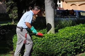 This is the second website we have done for bon voyage pest control. Bon Voyage Pest Control Inc 10924 K Nine Dr Unit 303 Bonita Springs Fl Pest Control Mapquest