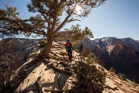 Winter is a photographer's dream in zion national park. Zion National Park Im Winter Abenteuer Bei Kaltem Wetter Visit Usa Parks