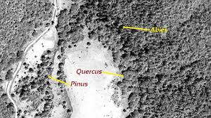 Temperaturas medias durante el día y bajas por la noche. Vista De Utilizacion De Imagenes De Satelite En El Manejo Forestal Del Noreste De Mexico Madera Y Bosques