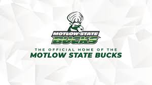 Motlow State Baseball Records